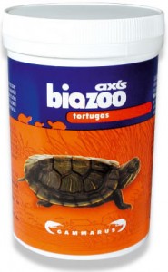 calcico tortugas