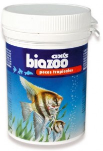 peces tropilcales